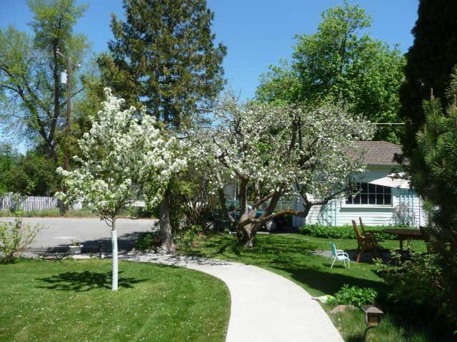 Blossom'S Bed And Breakfast 米苏拉 外观 照片